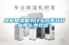 转轮除湿机为什么在医药行业那么受欢迎？