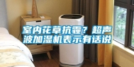室内花草抗霾？超声波加湿机表示有话说