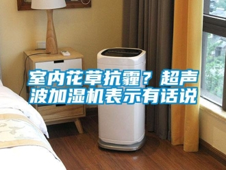 知识百科室内花草抗霾？超声波加湿机表示有话说