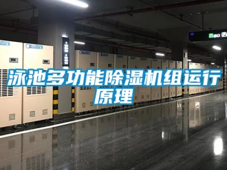 行业新闻泳池多功能除湿机组运行原理