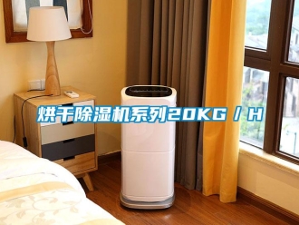 行业新闻烘干除湿机系列20KG／H