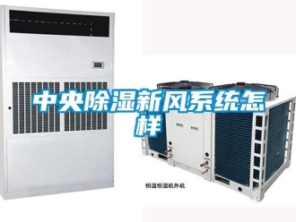 常见问题中央除湿新风系统怎样