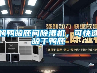 行业新闻烤鸭晾胚间除湿机，可快速晾干鸭胚