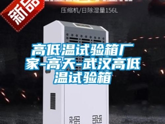 常见问题高低温试验箱厂家-高天-武汉高低温试验箱