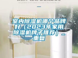 企业新闻室内除湿机哪个品牌好（2023年家用除湿机牌子推荐）_重复