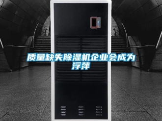 知识百科质量缺失除湿机企业会成为浮萍
