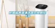 防爆超声波清洗器双频数控KQ