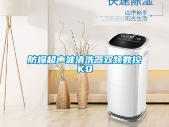 企业新闻防爆超声波清洗器双频数控KQ