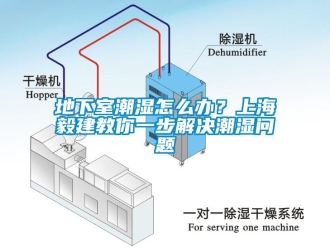 企业新闻地下室潮湿怎么办？上海毅建教你一步解决潮湿问题