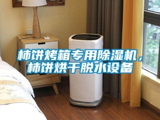 知识百科柿饼烤箱专用除湿机，柿饼烘干脱水设备