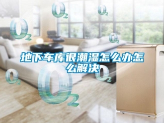 企业新闻地下车库很潮湿怎么办怎么解决