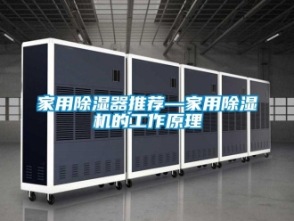 常见问题家用除湿器推荐—家用除湿机的工作原理