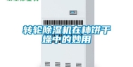 转轮除湿机在柿饼干燥中的妙用