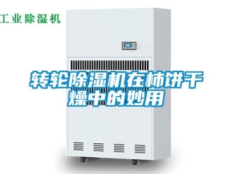 知识百科转轮除湿机在柿饼干燥中的妙用