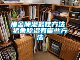 企业新闻猪舍除湿最佳方法 猪舍除湿有哪些方法
