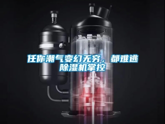 行业新闻任你潮气变幻无穷，都难逃除湿机掌控