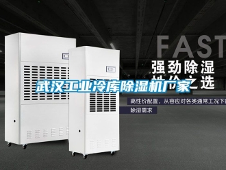 企业新闻武汉工业冷库除湿机厂家