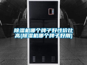 行业新闻除湿机哪个牌子好性价比高(除湿机哪个牌子好用)