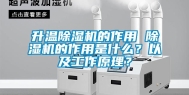 升温除湿机的作用 除湿机的作用是什么？以及工作原理？
