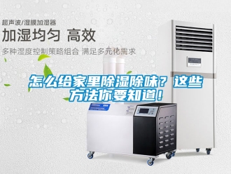 企业新闻怎么给家里除湿除味？这些方法你要知道！