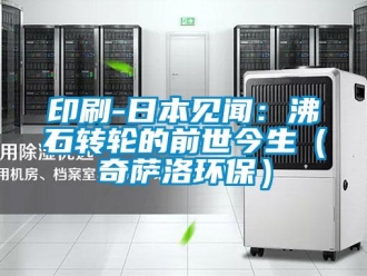 常见问题印刷-日本见闻：沸石转轮的前世今生（奇萨洛环保）