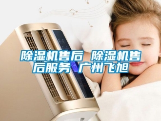 行业新闻除湿机售后 除湿机售后服务 广州飞旭