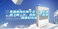 家里潮湿衣物干不了？除湿机了解一下，还你一个清爽健康好环境