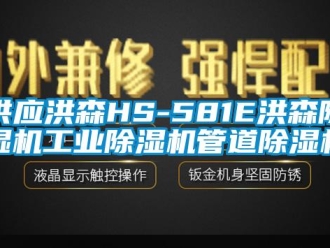 常见问题供应洪森HS-581E洪森除湿机工业除湿机管道除湿机