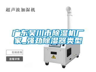 企业新闻广东吴川市除湿机厂家_强劲除湿器类型