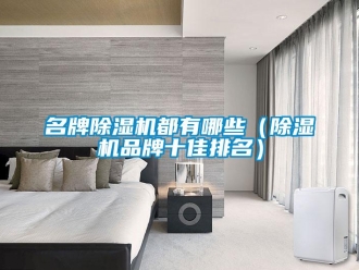 企业新闻名牌除湿机都有哪些（除湿机品牌十佳排名）