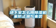 地下室怎么用除湿机来防止潮气来袭