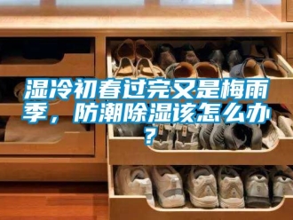 常见问题湿冷初春过完又是梅雨季，防潮除湿该怎么办？