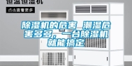 除湿机的危害 潮湿危害多多，一台除湿机就能搞定