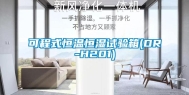 可程式恒温恒湿试验箱(DR-H201)
