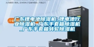 广东锂电池除湿机_锂电池行业除湿机_广东手套箱除湿机_广东手套箱转轮除湿机