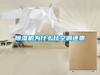 企业新闻除湿机为什么比空调还贵