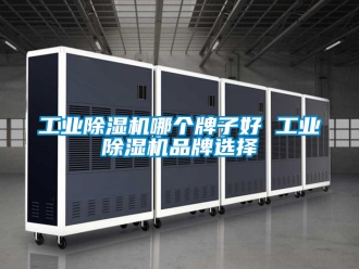 常见问题工业除湿机哪个牌子好 工业除湿机品牌选择