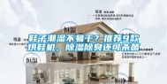 鞋子潮湿不易干？推荐9款烘鞋机，除湿除臭还可杀菌