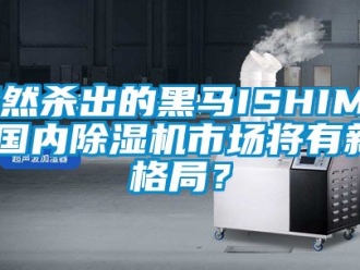 行业新闻突然杀出的黑马ISHIMA,国内除湿机市场将有新格局？