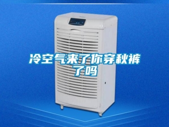 常见问题冷空气来了你穿秋裤了吗