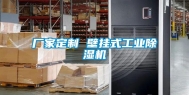 厂家定制 壁挂式工业除湿机