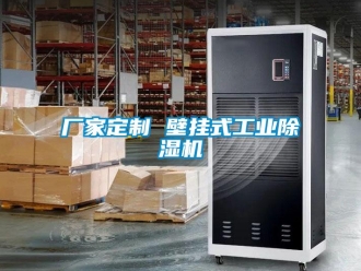 企业新闻厂家定制 壁挂式工业除湿机
