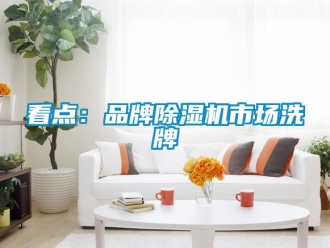 行业新闻看点：品牌除湿机市场洗牌