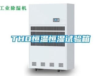 常见问题THO恒温恒湿试验箱