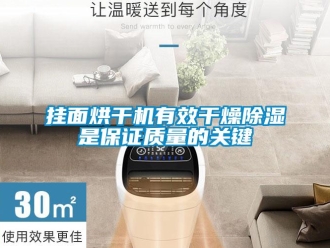 行业新闻挂面烘干机有效干燥除湿是保证质量的关键