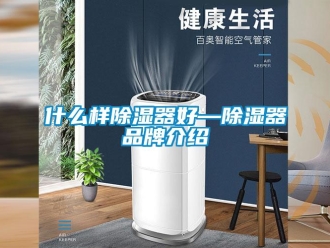 行业新闻什么样除湿器好—除湿器品牌介绍
