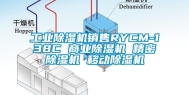 工业除湿机销售RYCM-138C 商业除湿机 精密除湿机 移动除湿机