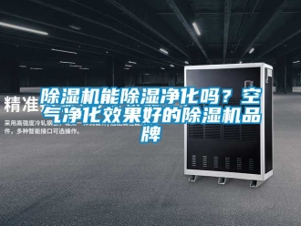 企业新闻除湿机能除湿净化吗？空气净化效果好的除湿机品牌