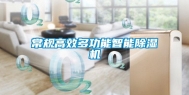常规高效多功能智能除湿机