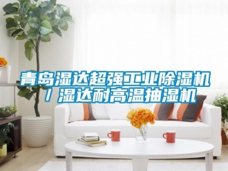 常见问题青岛湿达超强工业除湿机／湿达耐高温抽湿机